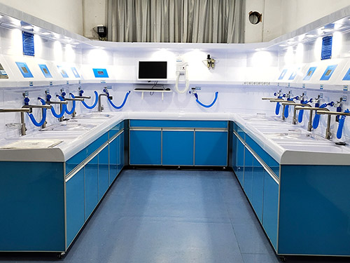 豪華型內窺鏡清洗工作站